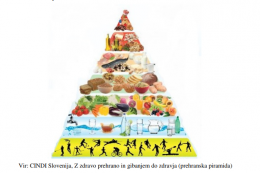 Prehranska priporočila za prehrano predšolskih otrok